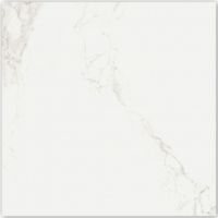 Porcelanato-Elizabeth-Le-Blanc-Retificado-HD-Polido-Tipo-A-84x84-cm